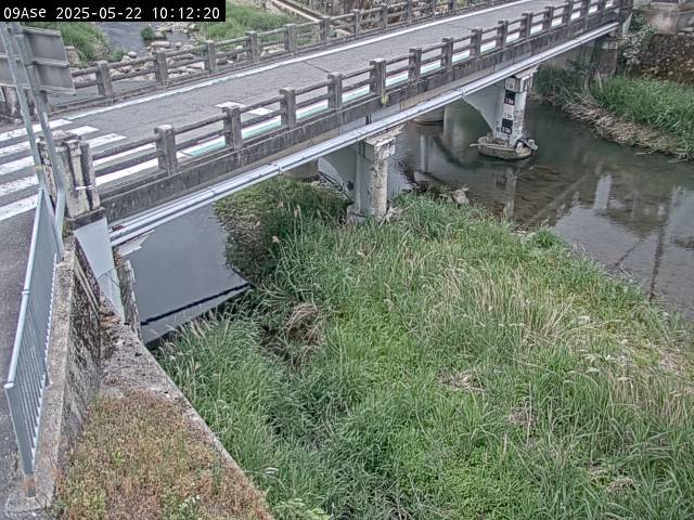 最新監視カメラ画像