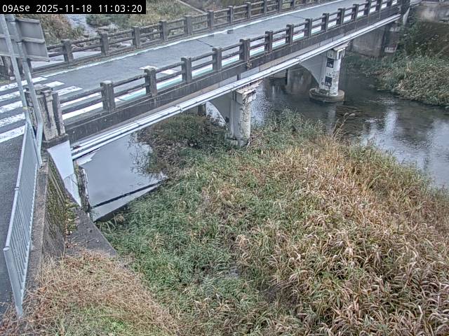 最新監視カメラ画像