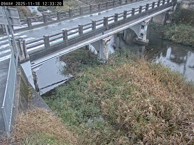 最新監視カメラ画像