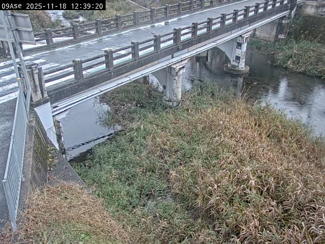 最新監視カメラ画像