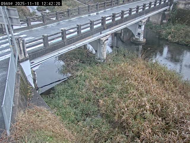 最新監視カメラ画像