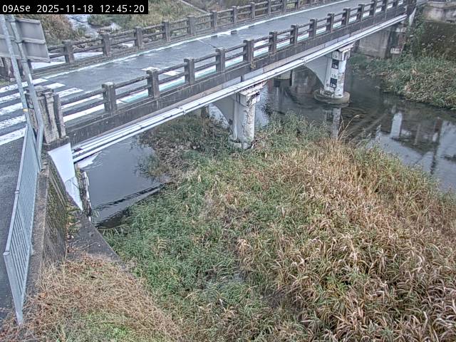 最新監視カメラ画像