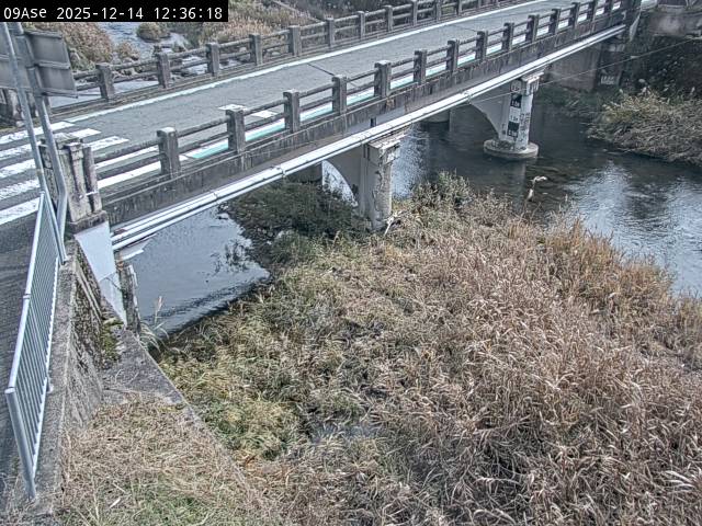 最新監視カメラ画像