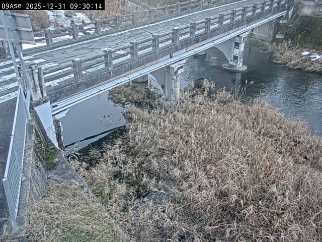 最新監視カメラ画像