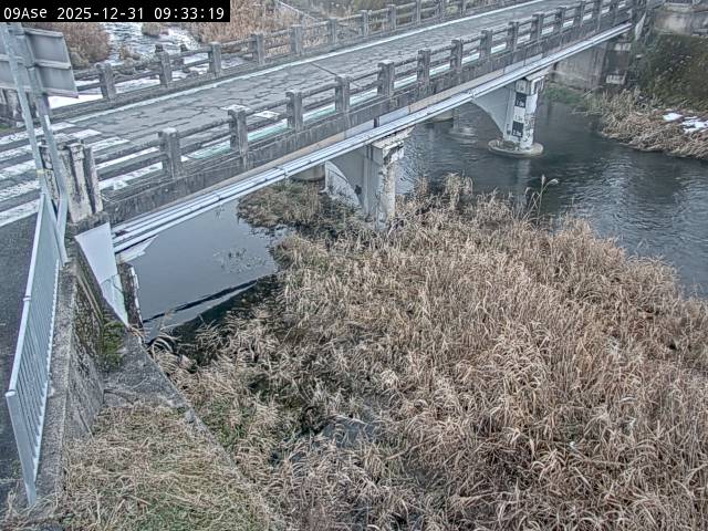 最新監視カメラ画像