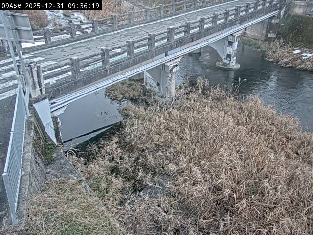 最新監視カメラ画像