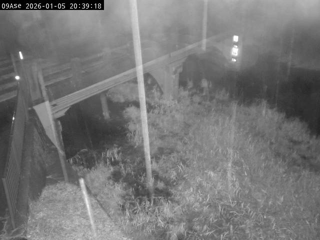 最新監視カメラ画像