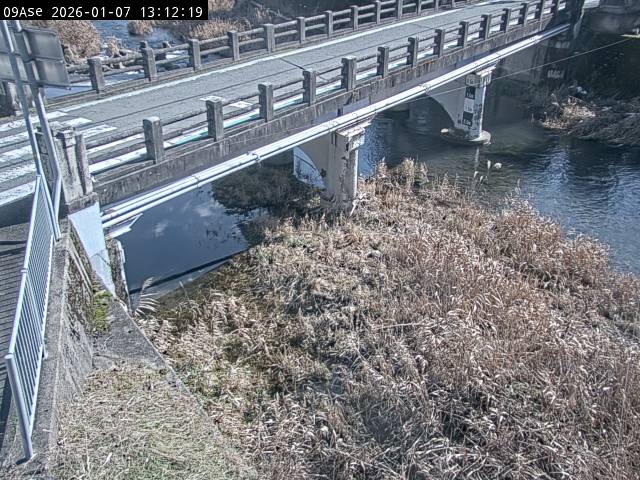 最新監視カメラ画像