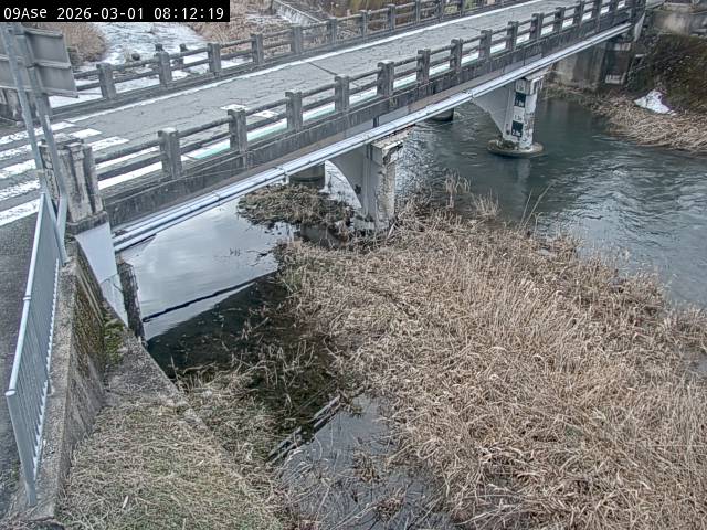 最新監視カメラ画像