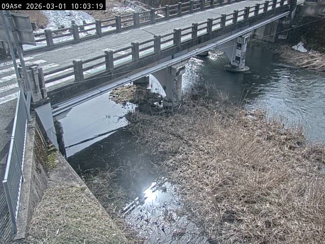 最新監視カメラ画像