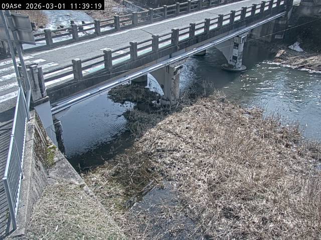 最新監視カメラ画像