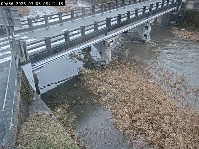 最新監視カメラ画像