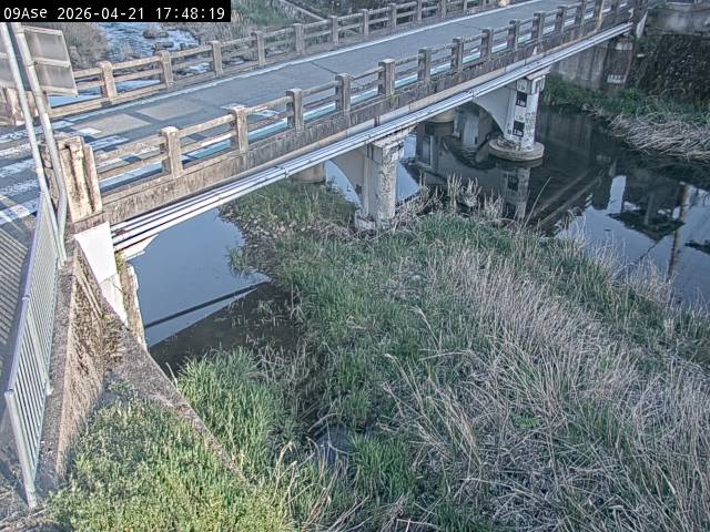 最新監視カメラ画像