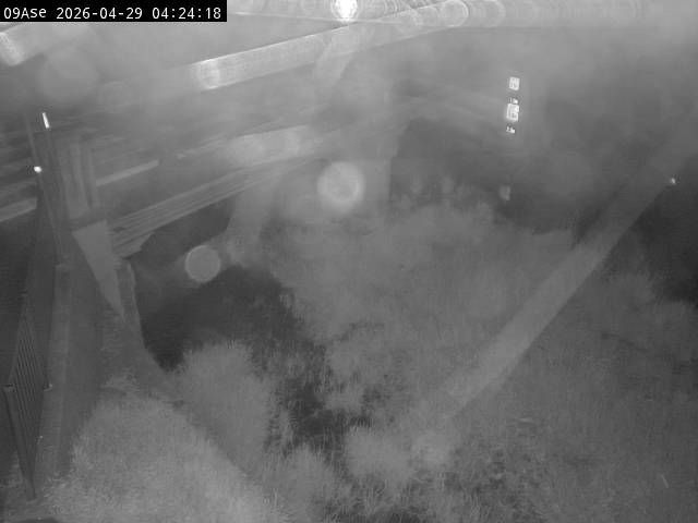 最新監視カメラ画像