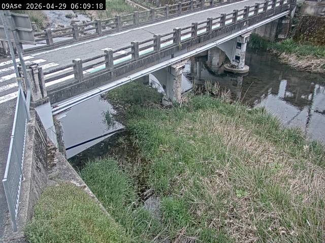 最新監視カメラ画像