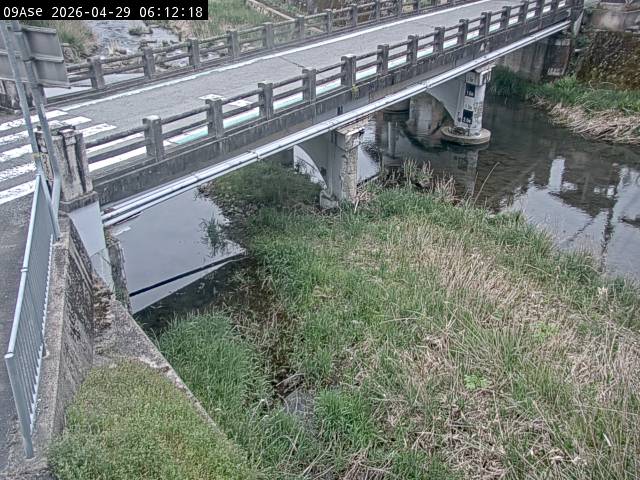 最新監視カメラ画像