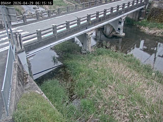 最新監視カメラ画像