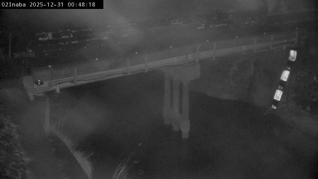 最新監視カメラ画像