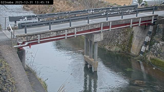 最新監視カメラ画像