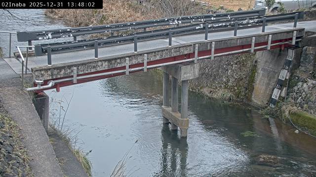 最新監視カメラ画像