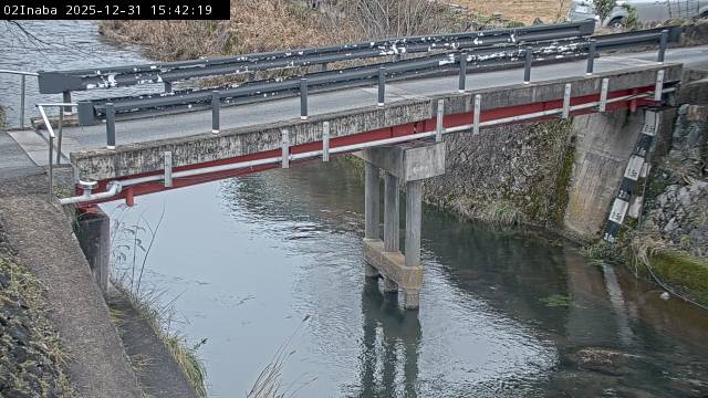 最新監視カメラ画像