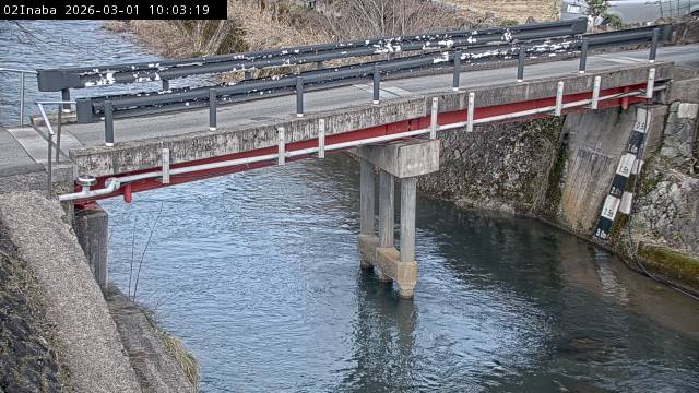 最新監視カメラ画像