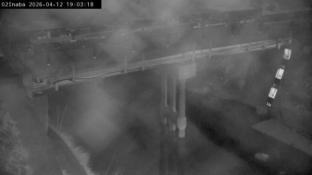 最新監視カメラ画像