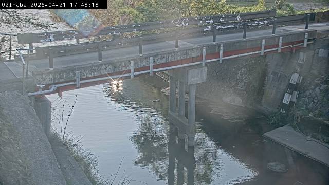 最新監視カメラ画像