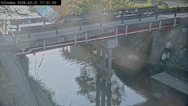 最新監視カメラ画像