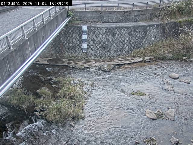 最新監視カメラ画像