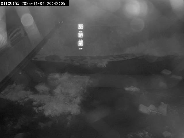 最新監視カメラ画像