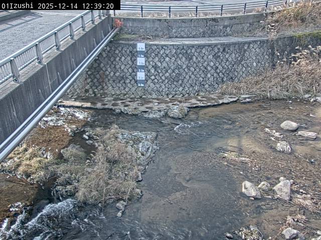 最新監視カメラ画像