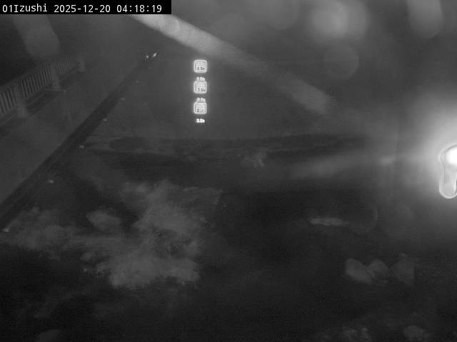 最新監視カメラ画像