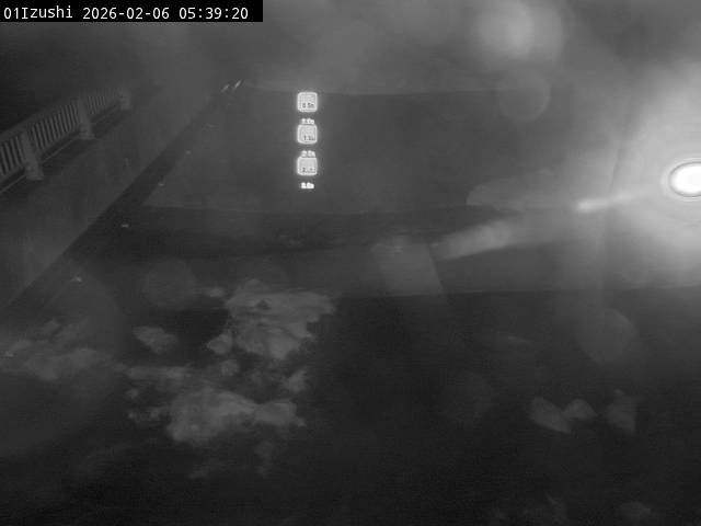 最新監視カメラ画像