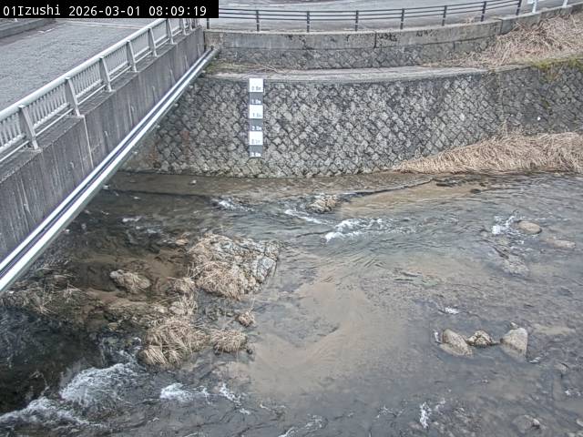 最新監視カメラ画像