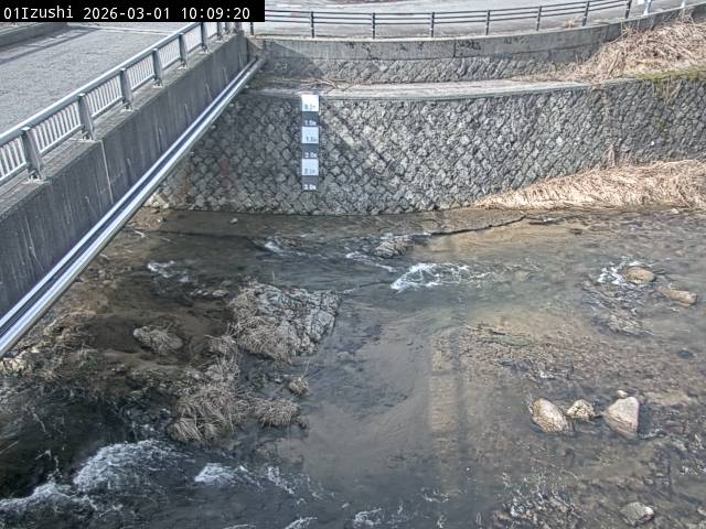 最新監視カメラ画像