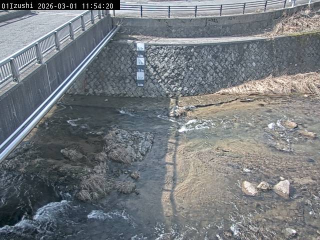 最新監視カメラ画像