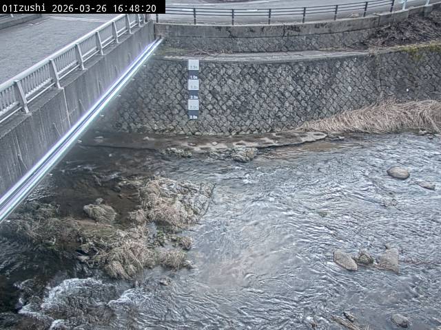 最新監視カメラ画像