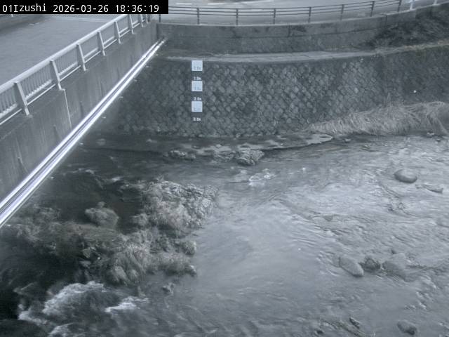 最新監視カメラ画像