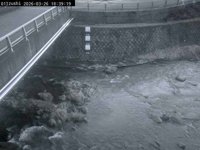 最新監視カメラ画像