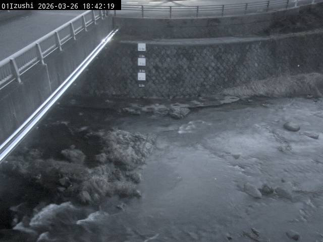 最新監視カメラ画像