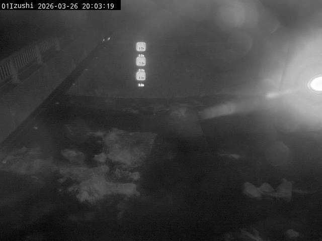 最新監視カメラ画像