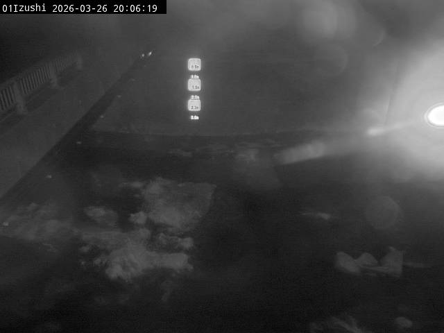 最新監視カメラ画像