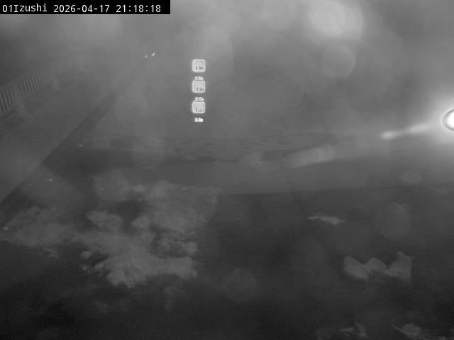 最新監視カメラ画像