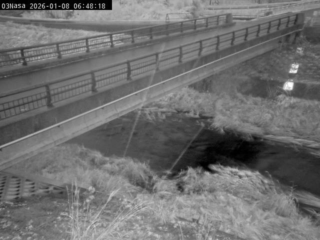 最新監視カメラ画像