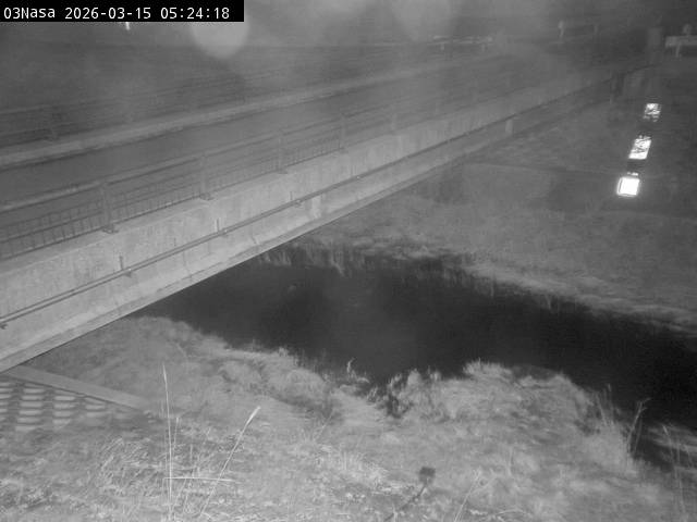 最新監視カメラ画像