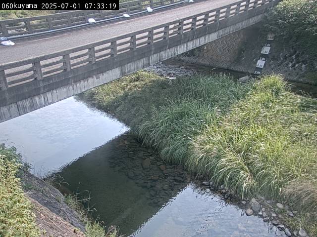 最新監視カメラ画像