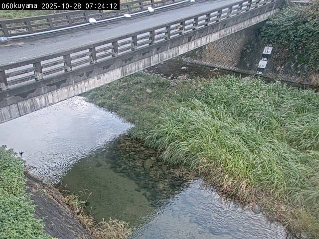 最新監視カメラ画像