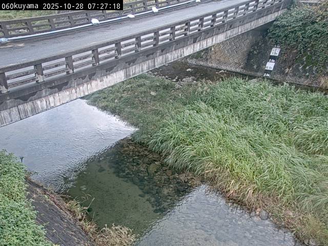 最新監視カメラ画像