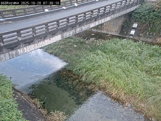最新監視カメラ画像